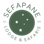 Sefapane logo